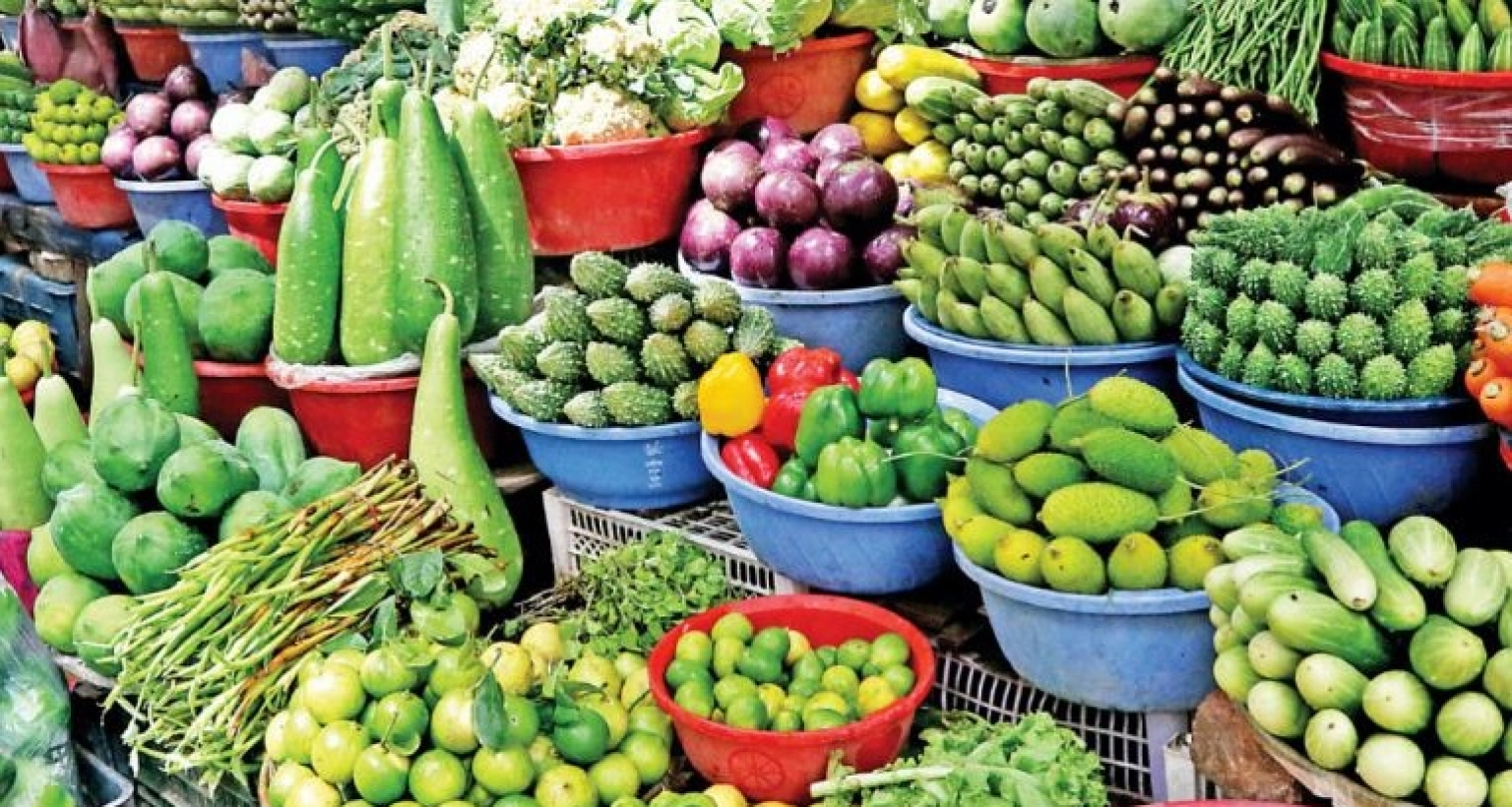 হঠাৎ অর্ধেকে নেমে এলো সব সবজির দাম