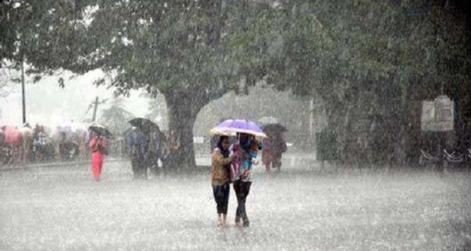 টানা ৪ দিন অব্যাহত বৃষ্টির পূর্বাভাস