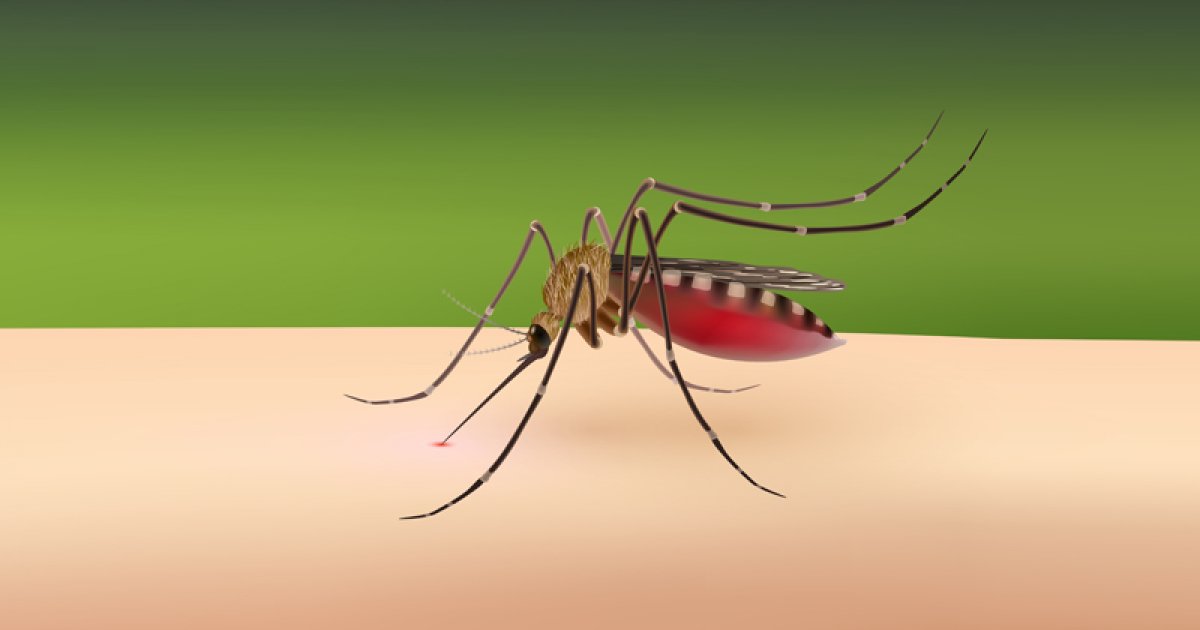 ডেঙ্গুতে আজও ৪ জনের মৃত্যু