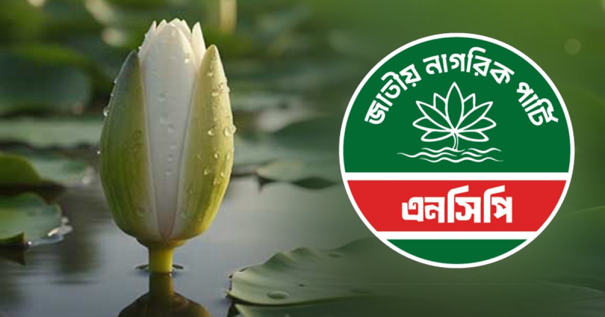 ‘ফুল’ চেয়ে ‘শাপলার কলি’, অসন্তুষ্ট এনসিপি
