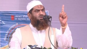 সম্পত্তি হস্তান্তর আইন পাসে ‘তড়িঘড়ি’ করা হয়েছে: মামুনুল হক