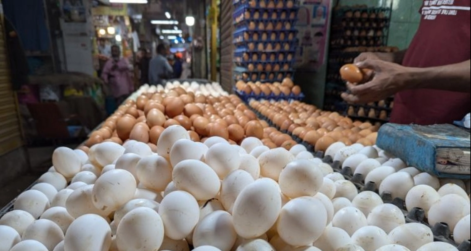 রাজধানীতে হঠাৎ ডিমের ডজন কত হলো জানেন?