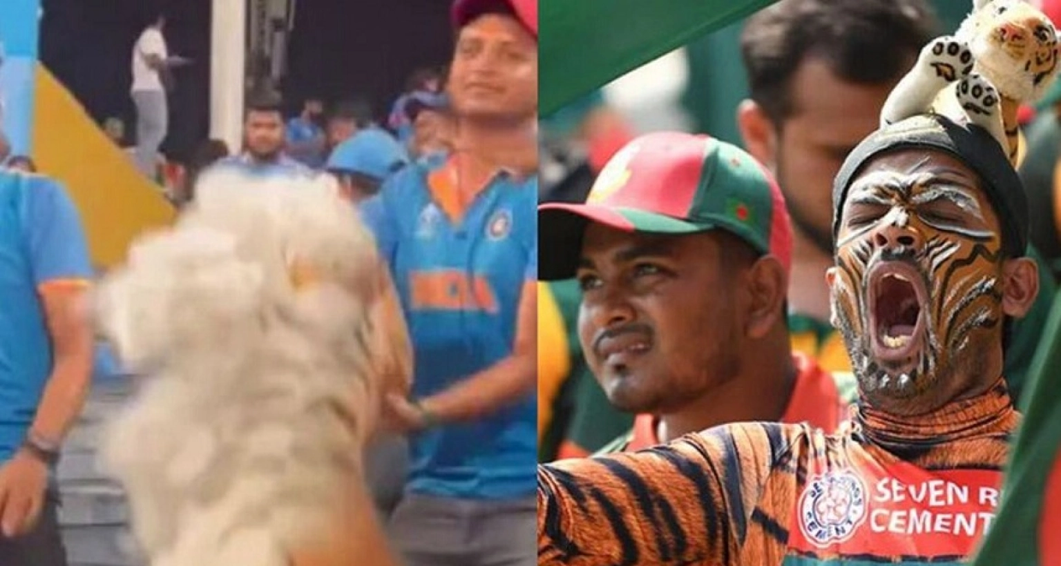 বাংলাদেশ নিয়ে পরিকল্পনা ফাঁস! সময় ছিল মাত্র এক ঘণ্টা