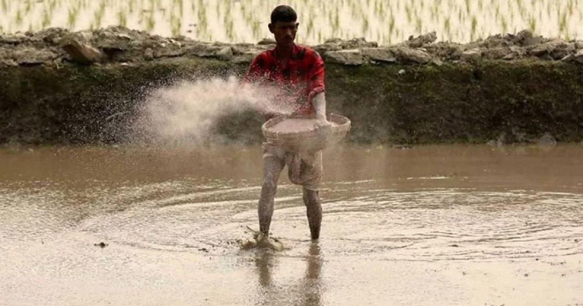 সার কারখানায় ব্যবহৃত গ্যাসের দাম বাড়ানোর ঘোষণা রবিবার