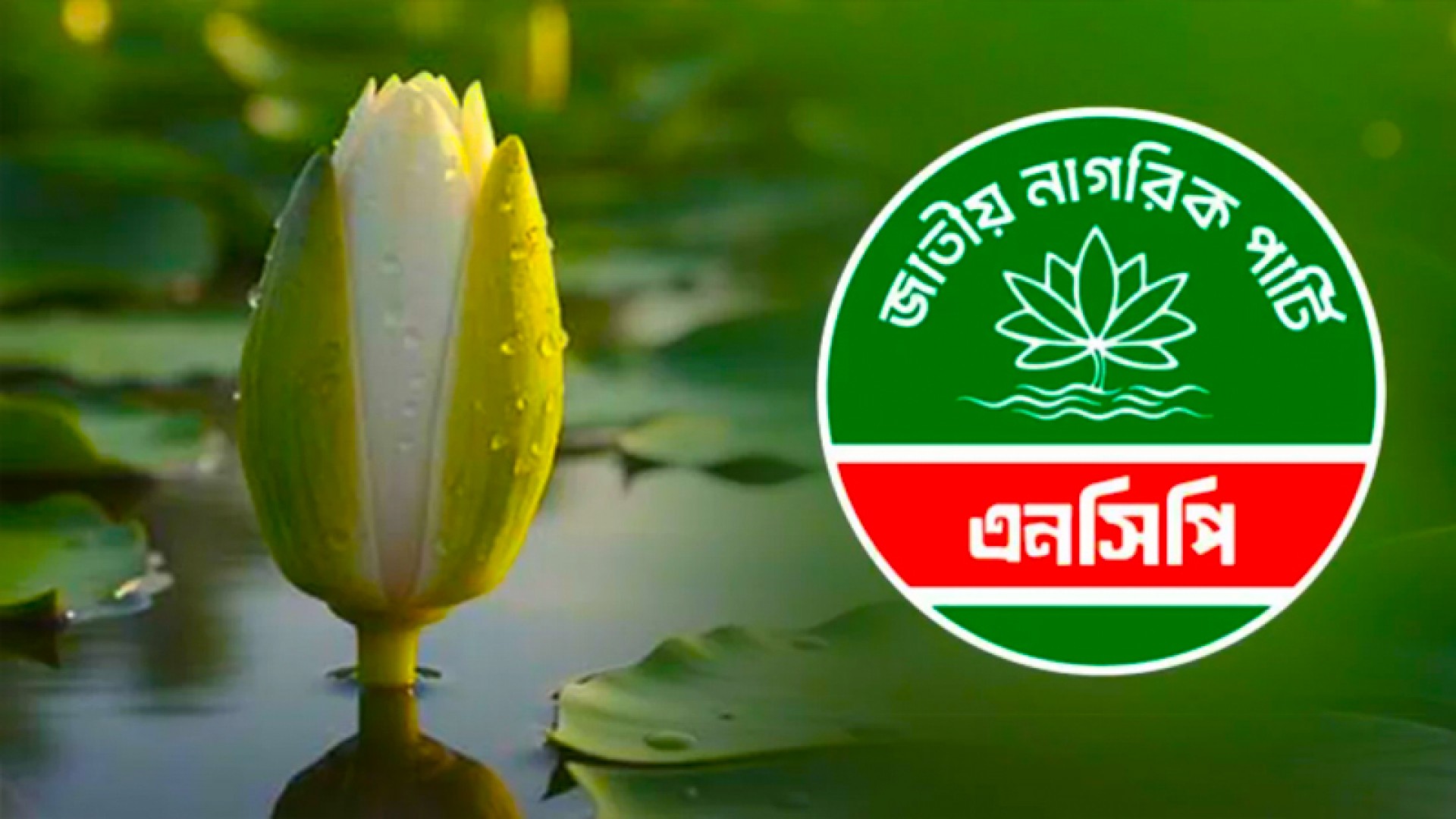 ১০০ আসনে দলীয় প্রার্থী ঘোষণা করতে যাচ্ছে এনসিপি