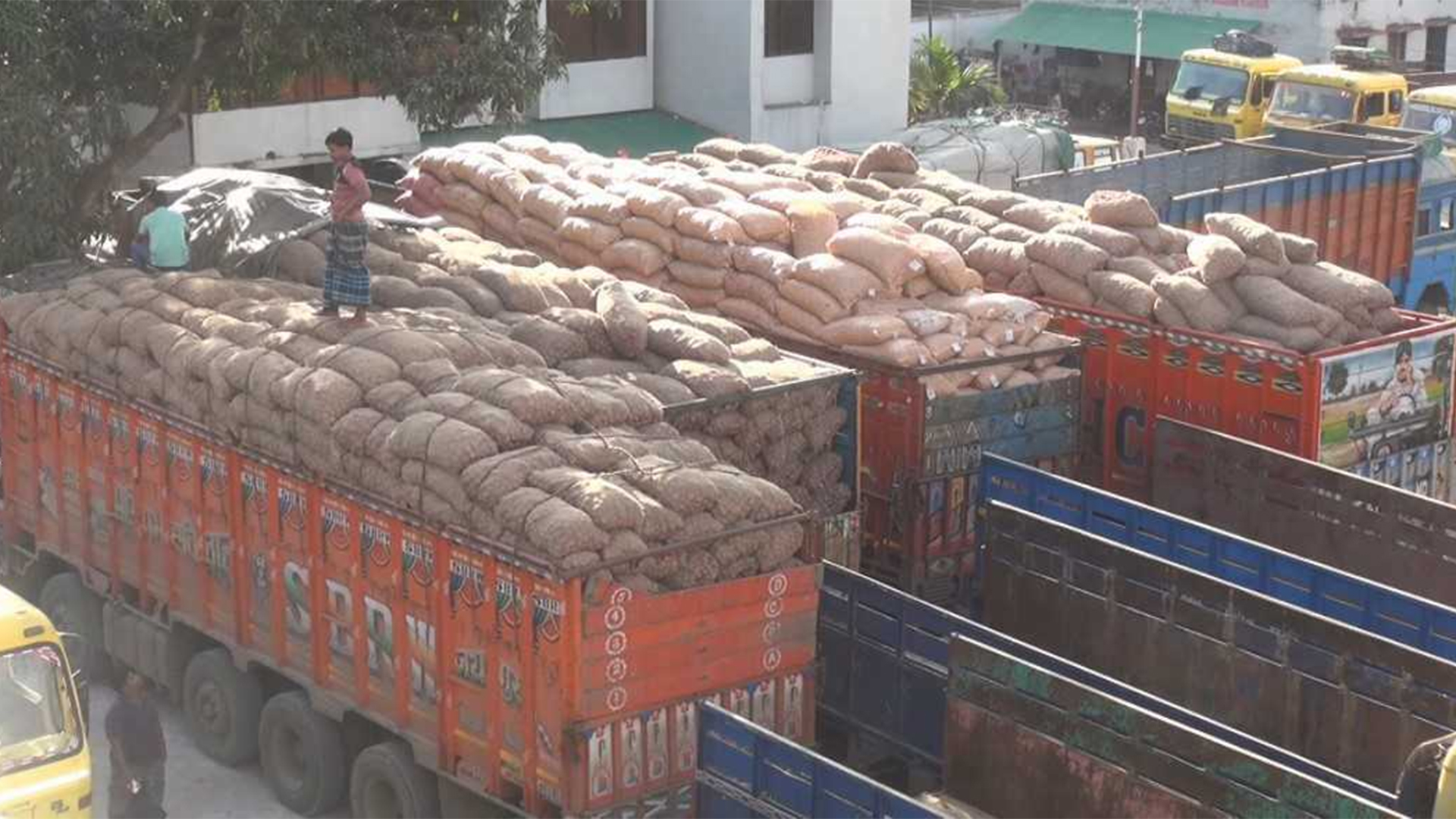 সোনামসজিদ স্থলবন্দর দিয়ে এলো ৪১৯ টন পেঁয়াজ