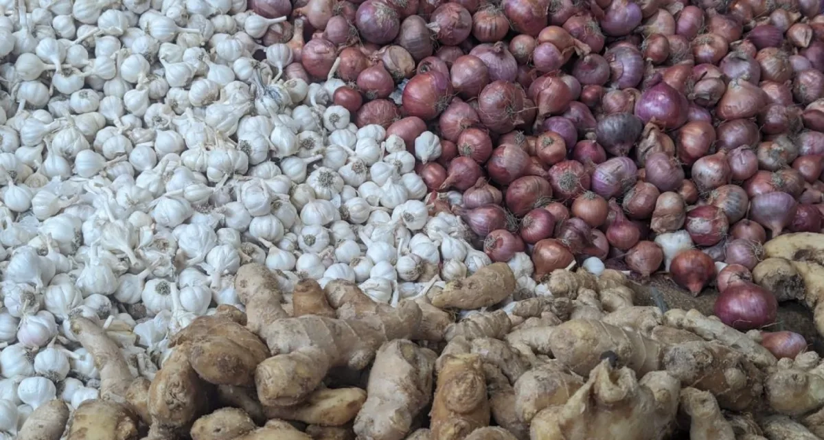 হঠাৎ কেন কমছে পেঁয়াজ-রসুনের দাম? জানা গেল পেছনের কারণ