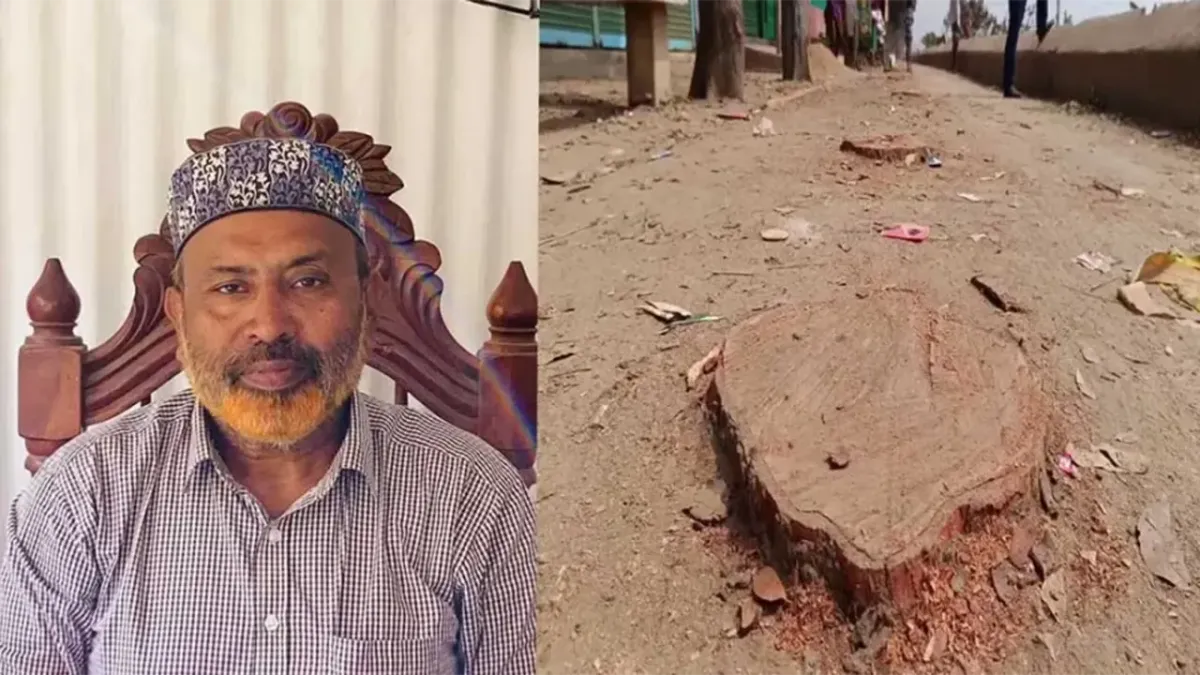 গাছকাণ্ডে উপজেলা বিএনপির সেই সভাপতি গ্রেপ্তার