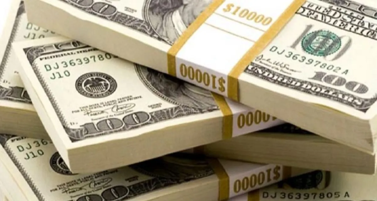 ডলারের দাম ফের বাড়তে শুরু করেছে