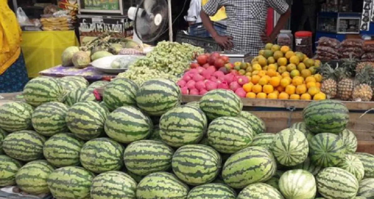 অর্ধেকেরও কম দামে বিক্রি হচ্ছে তরমুজ