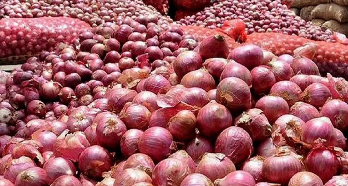বড় ধস পেঁয়াজের বাজারে, দাম অর্ধেকে