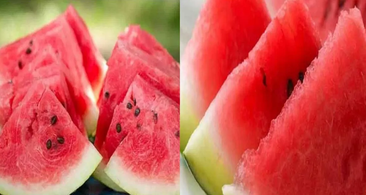 জানেন কী হয় তরমুজের উপর লবণ ছড়িয়ে খেলে?