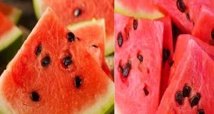 কোন সময়ে তরমুজ খেবে সবচেয়ে বেশি উপকার মেলে
