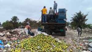 সাতক্ষীরায় কেমিক্যাল মিশ্রিত ৯ হাজার কেজি আম জব্দ