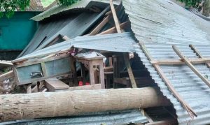 নড়াইলে বিদ্যালয়ে ক্লাস চলাকালীন ঝড়ে গাছ পড়ে আহত ২ শিক্ষার্থী