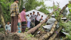 বৈশাখী ঝড়ে গাছ পড়ে মা ও দুই মেয়ের মৃত্যু