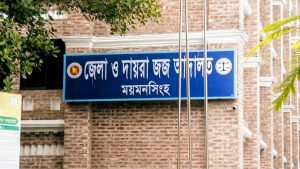 ময়মনসিংহে ৮ বছরের শিশু ধর্ষণ মামলায় যুবকের যাবজ্জীবন কারাদণ্ড
