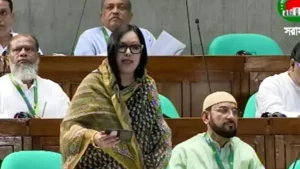 তুচ্ছ বিষয়ে টেঁটা নিয়ে মাঠে নামার ‘দেশ’ ব্রাহ্মণবাড়িয়া: সংসদে রুমিন ফারহানা