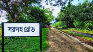 রেলস্টেশনে গভীর রাতে স্বামীকে বেঁধে রেখে স্ত্রীকে ধর্ষণ