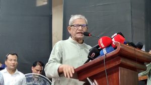 দেশে স্থিতিশীলতা নষ্ট করতে একটি শ্রেণির সৃষ্টি হয়েছে: মির্জা ফখরুল