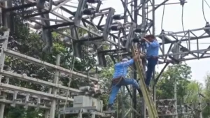 নিরাপত্তা প্রহরীকে জিম্মি করে পল্লীবিদ্যুৎ উপকেন্দ্রের মালামাল লুট