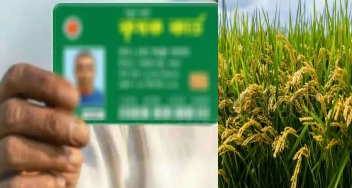 যারা পাবেন কৃষি কার্ড, মিলবে যে ১০ ধরনের সুবিধা