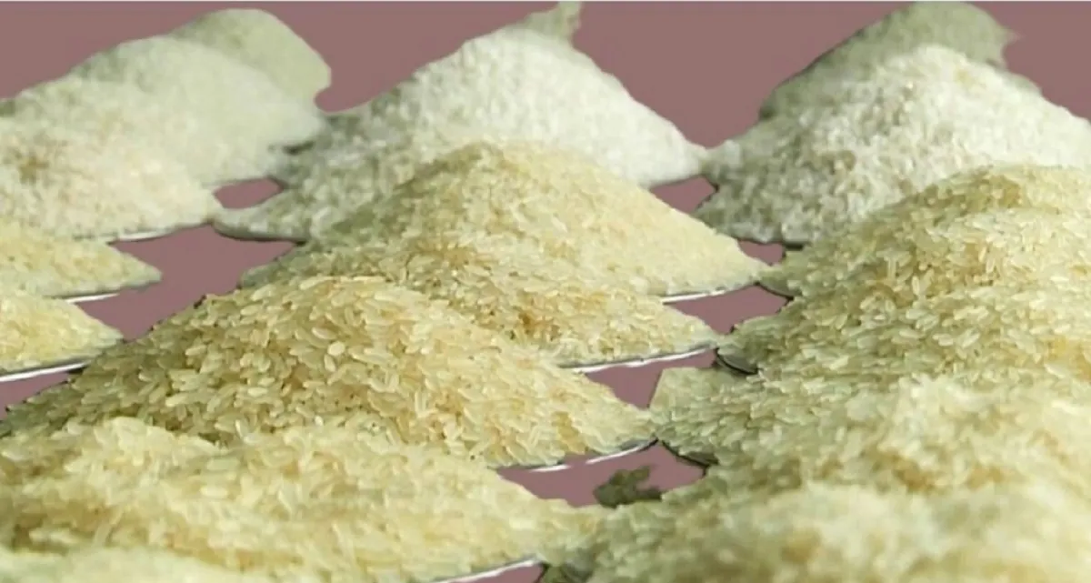 এবার যারা পাবেন ১৫ টাকা কেজি দরে চাল