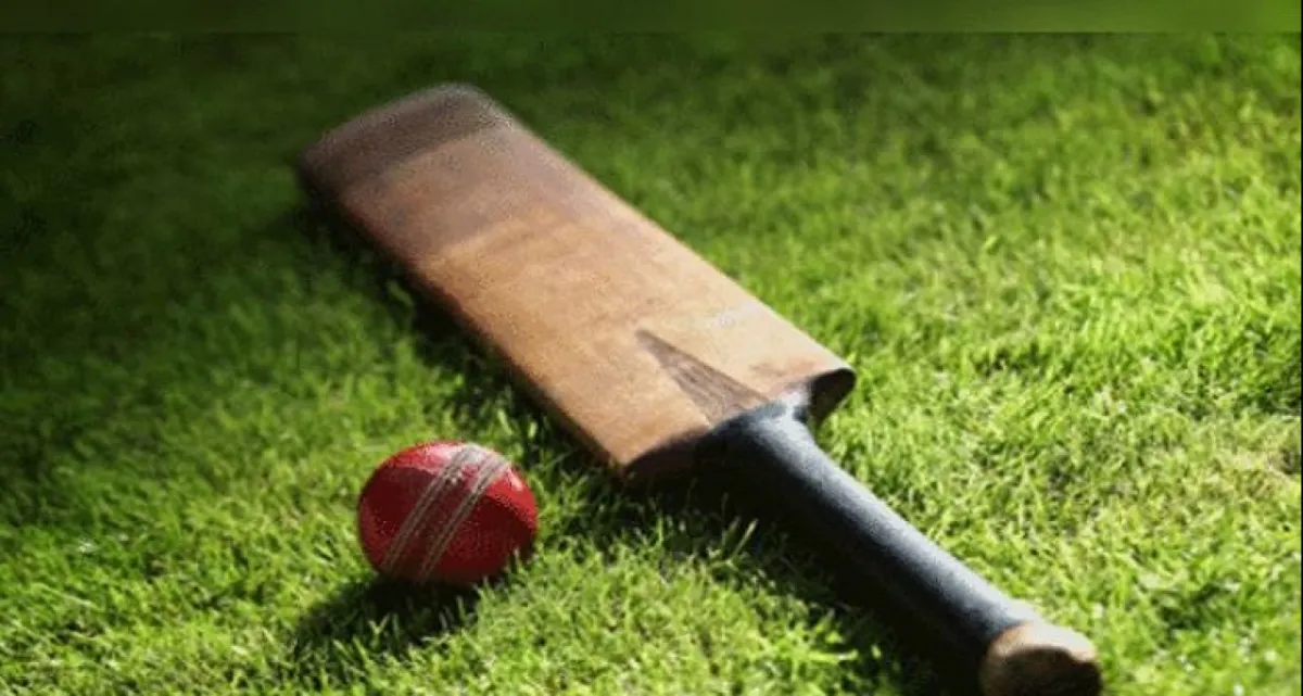 ছুরিকাঘাতে ক্রিকেটারের মৃত্যু, আম্পায়ারও আহত