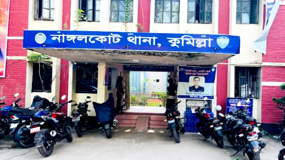 লাগামহীন লুটপাটে জনশূন্য হয়ে পড়েছে পুরো গ্রাম, ২০০টির বেশি পরিবার নিঃস্ব