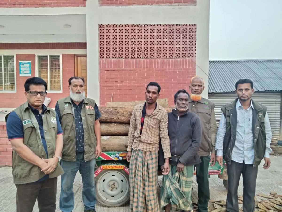 শেরপুর সীমান্তে বনের গাছ কাটার সময় আটক ২, উদ্ধার অটোভ্যানসহ সরঞ্জাম
