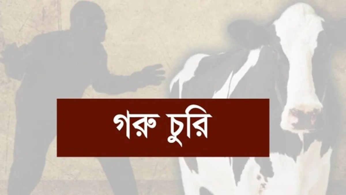 ভালুকায় গোয়ালঘর ভেঙে ৬টি গরু চুরি, প্রায় ৫ লাখ টাকার ক্ষতি