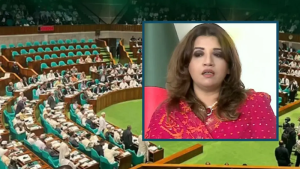 মুক্তিযুদ্ধ একদিকে, বাকি সবকিছু আরেকদিকে: পররাষ্ট্র প্রতিমন্ত্রী