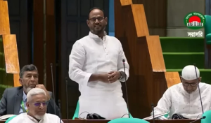 আমি মোনাফেক বললাম না কাউকে, সংসদে প্রতিমন্ত্রী সুলতান সালাহউদ্দিন