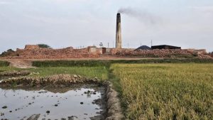 ইটভাটার বিষাক্ত ধোঁয়া: ব্রাহ্মণবাড়িয়ায় পরিবেশ ও জনস্বাস্থ্য মৃত্যুফাঁদে