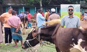 অনুমতি ছাড়াই কলেজে পশুর হাট বসালেন ছাত্রদল নেতা