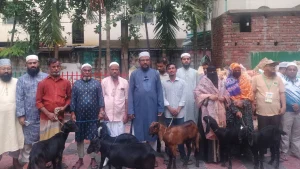 জুলাই শহীদ পরিবারের মাঝে জামায়াত এমপির কোরবানির পশু বিতরণ