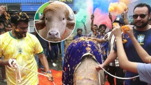 বিশ্বজুড়ে ভাইরাল বাংলাদেশের সেই ‘ডোনাল্ড ট্রাম্প’র রাজকীয় বিদায়