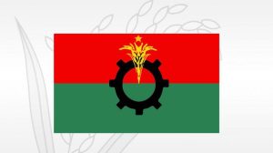 দলীয় কাউন্সিলের আগে ‘অল-আউট রিসেট’ পরিকল্পনা বিএনপির
