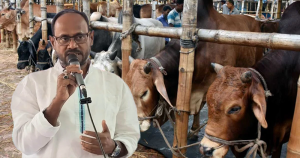 চোরাই পথে গরু প্রবেশ ঠেকাতে সর্বোচ্চ প্রস্তুত বিজিবি: প্রাণিসম্পদ প্রতিমন্ত্রী