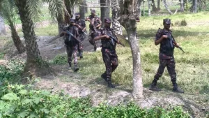 সীমান্তে বিএসএফের পুশব্যাক চেষ্টা মোকাবিলায় বিজিবি