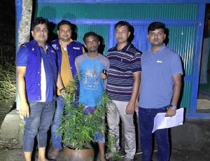 বাড়ির উঠানে গাঁজা চাষ, ৪টি গাছসহ অটোচালক গ্রেপ্তার