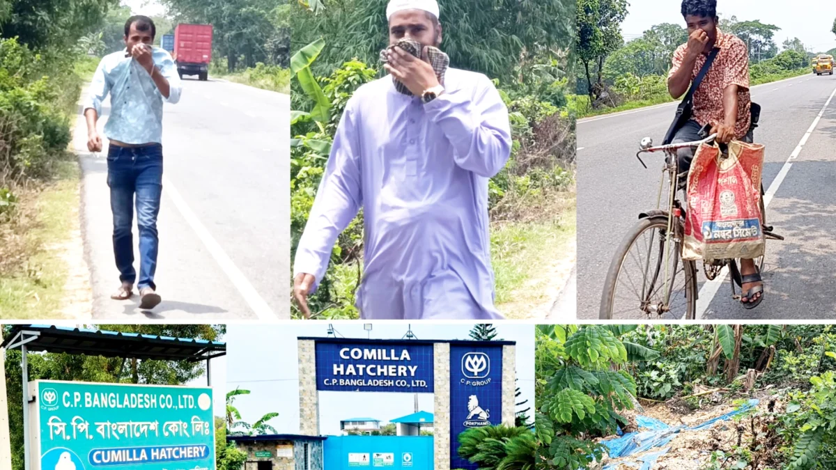 সিপি হ্যাচারির বিষাক্ত বর্জ্যে অতিষ্ঠ জনপদ