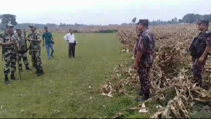 সীমান্তে বাঁশের বেড়া দেয়ার চেষ্টা রুখে দিলো বিজিবি