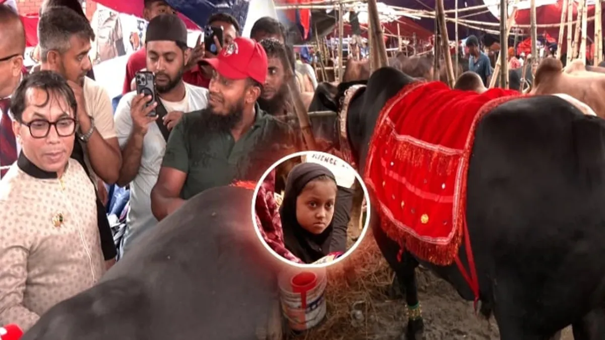 খালেদা জিয়ার নামেই কোরবানি হবে ‘কালো মানিক’