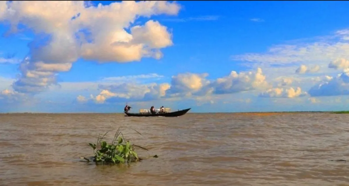 ঝড়ের কবলে ট্রলারডুবি, ২৩ কোরবানির গরুসহ ব্যবসায়ী নিখোঁজ