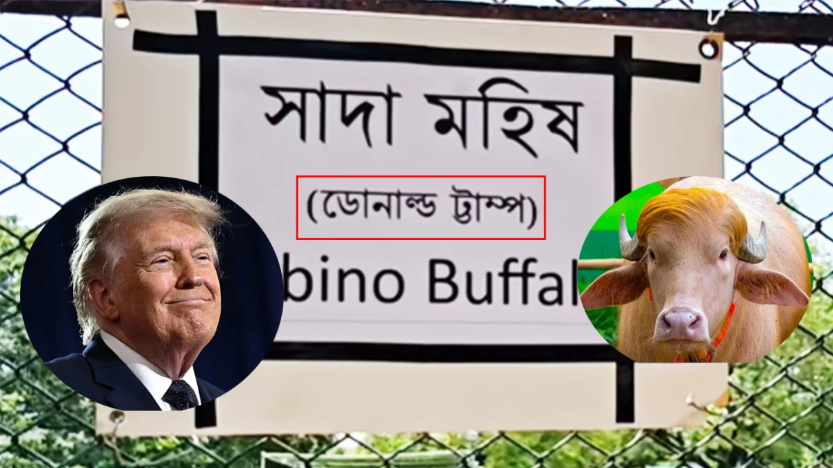 ভাইরাল ‘ডোনাল্ড ট্রাম্প’-এর ‘ট্রাম্প’ বানান ভুল করল চিড়িয়াখানা কর্তৃপক্ষ