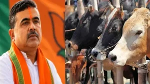 কোরবানির আগে গরু কেনা বন্ধ করে দিয়েছেন মুসলিমরা, বিক্রি নিয়ে পশ্চিমবঙ্গে হাহাকার
