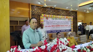 আমরা লুট করতে আসিনি, দেশকে দিতে এসেছি: ডেপুটি স্পিকার
