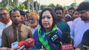 ‘মামলার ব্যবসা করছেন বিএনপির স্থানীয় নেতাকর্মীরা’: রুমিন ফারহানার অভিযোগ