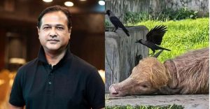 ‘অবুঝ প্রাণীটার প্রতি রহম করুন’: ‘ডোনাল্ড ট্রাম্প’ প্রসঙ্গে আসিফ আকবর